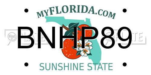 BNHP89 Florida License Plate