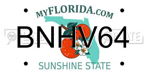 BNHV64 Florida License Plate