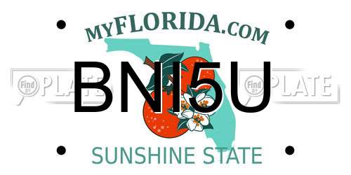BNI5U Florida License Plate