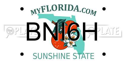 BNI6H Florida License Plate