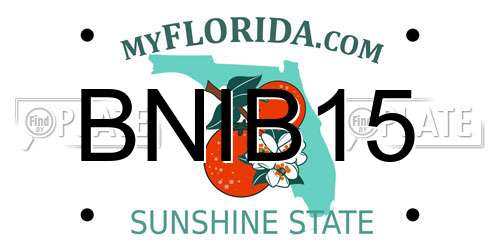 BNIB15 Florida License Plate