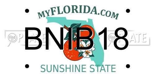 BNIB18 Florida License Plate