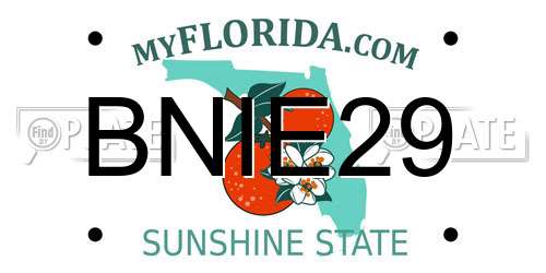 BNIE29 Florida License Plate
