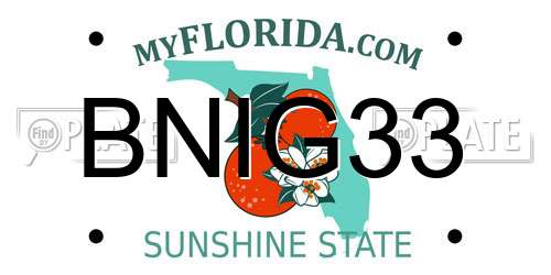 BNIG33 Florida License Plate