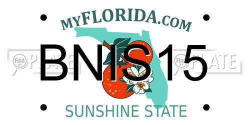 BNIS15 Florida License Plate