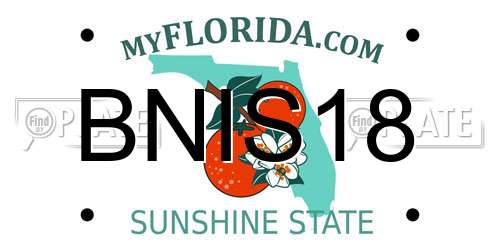 BNIS18 Florida License Plate