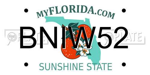 BNIW52 Florida License Plate