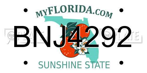 BNJ4292 Florida License Plate