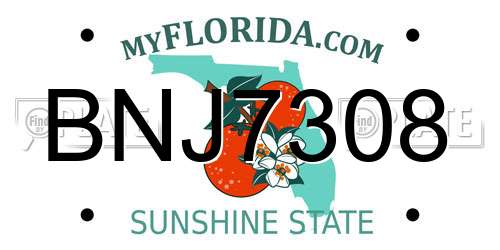 BNJ7308 Florida License Plate