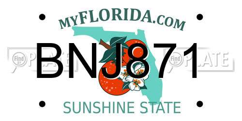 BNJ871 Florida License Plate