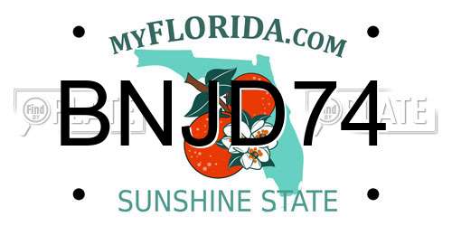 BNJD74 Florida License Plate