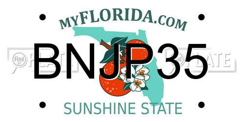 BNJP35 Florida License Plate