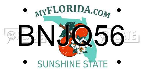 BNJQ56 Florida License Plate