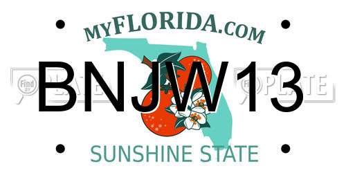 BNJW13 Florida License Plate