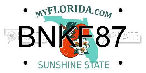 BNKF87 Florida License Plate