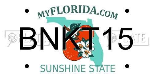 BNKT15 Florida License Plate