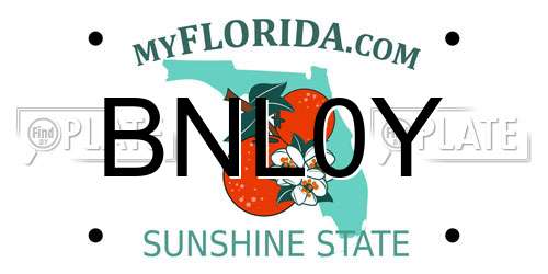 BNL0Y Florida License Plate