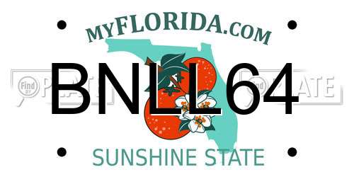 BNLL64 Florida License Plate