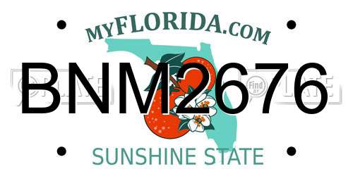 BNM2676 Florida License Plate