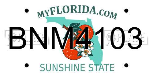 BNM4103 Florida License Plate