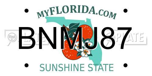BNMJ87 Florida License Plate