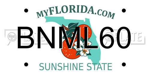 BNML60 Florida License Plate