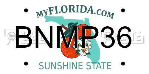BNMP36 Florida License Plate