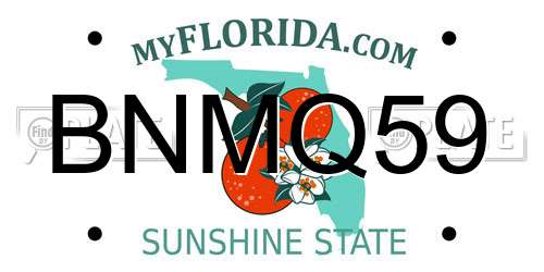 BNMQ59 Florida License Plate