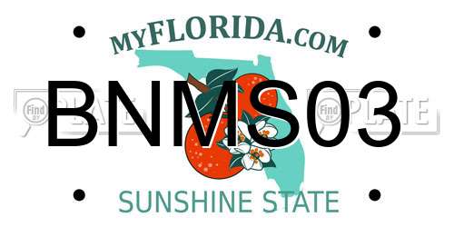 BNMS03 Florida License Plate