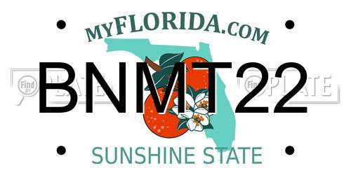 BNMT22 Florida License Plate