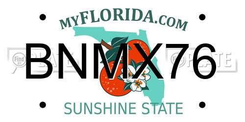 BNMX76 Florida License Plate