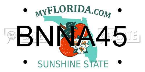 BNNA45 Florida License Plate