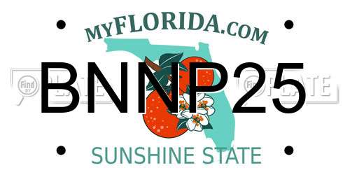 BNNP25 Florida License Plate