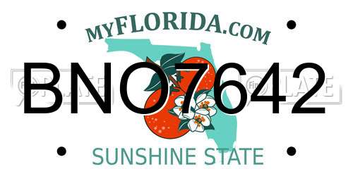 BNO7642 Florida License Plate
