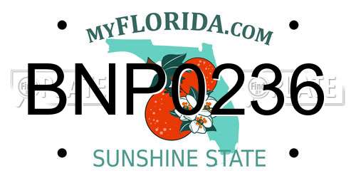 BNP0236 Florida License Plate