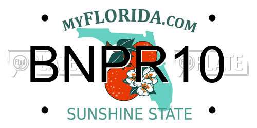 BNPR10 Florida License Plate