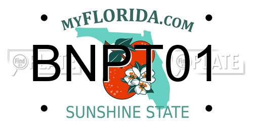 BNPT01 Florida License Plate
