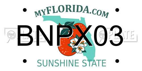 BNPX03 Florida License Plate