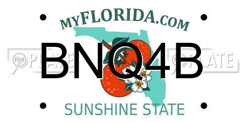 BNQ4B Florida License Plate