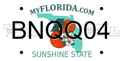 BNQQ04 Florida License Plate