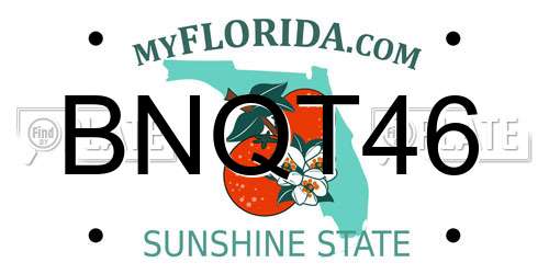 BNQT46 Florida License Plate