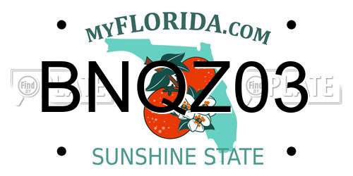 BNQZ03 Florida License Plate