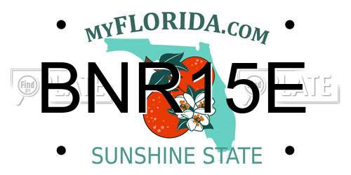 BNR15E Florida License Plate