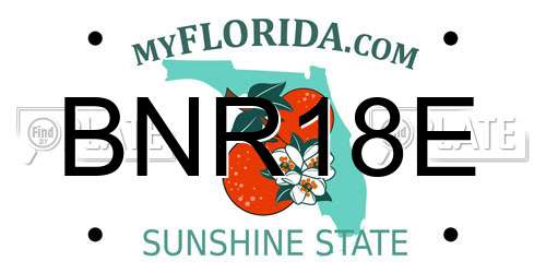 BNR18E Florida License Plate