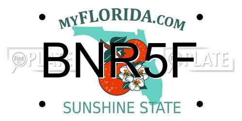 BNR5F Florida License Plate