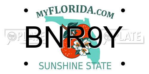 BNR9Y Florida License Plate