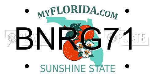 BNRG71 Florida License Plate