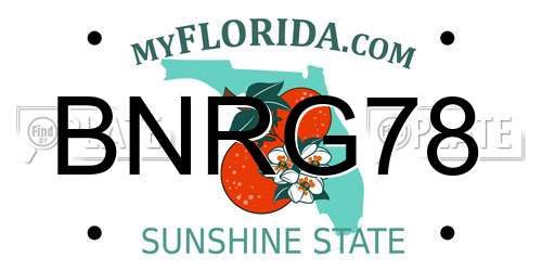BNRG78 Florida License Plate