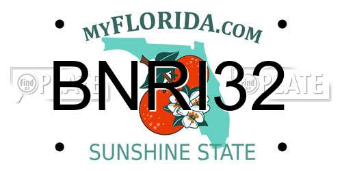 BNRI32 Florida License Plate