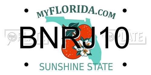 BNRJ10 Florida License Plate